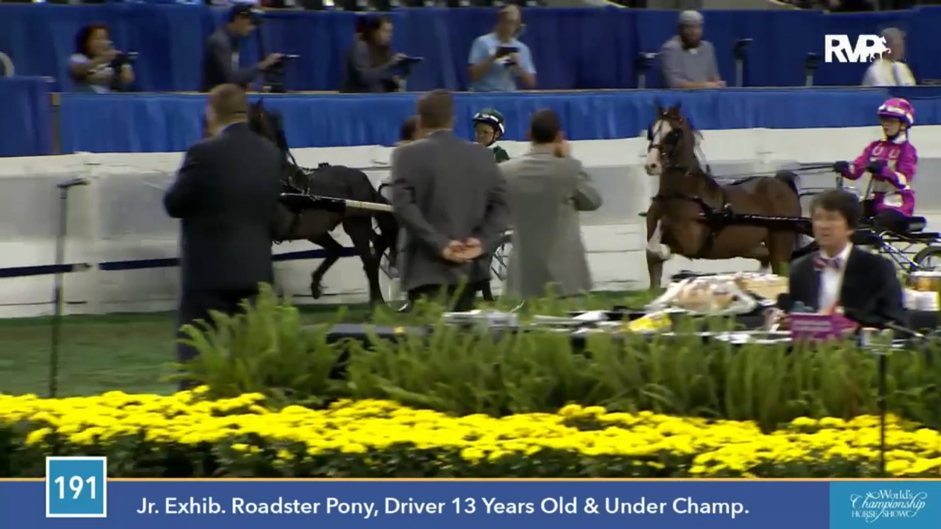 2015 WCHS - Class 191 Junior Exhibitor Roadster Pony, Driver 13 Years Old & Under Championship