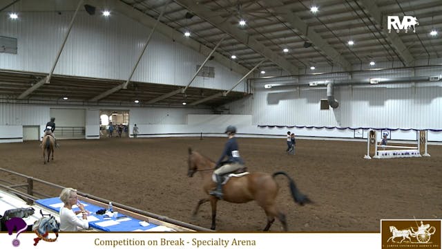 2024 Youth Arabian Nationals - Specia...