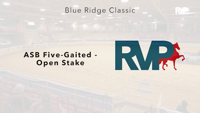 BR24 - Class 231 - ASB Five-Gaited - ...