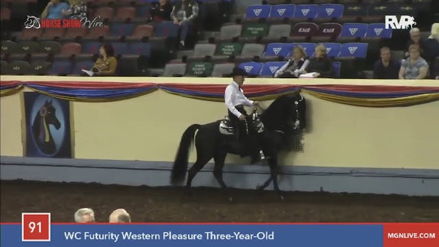 2015 MGN - Class 91 WC Futurity Weste...