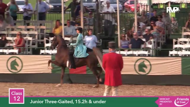 2015 LJL - Class 12 Junior Three Gait...