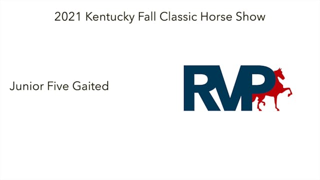 KFC21 - Class 28 - Junior Five Gaited