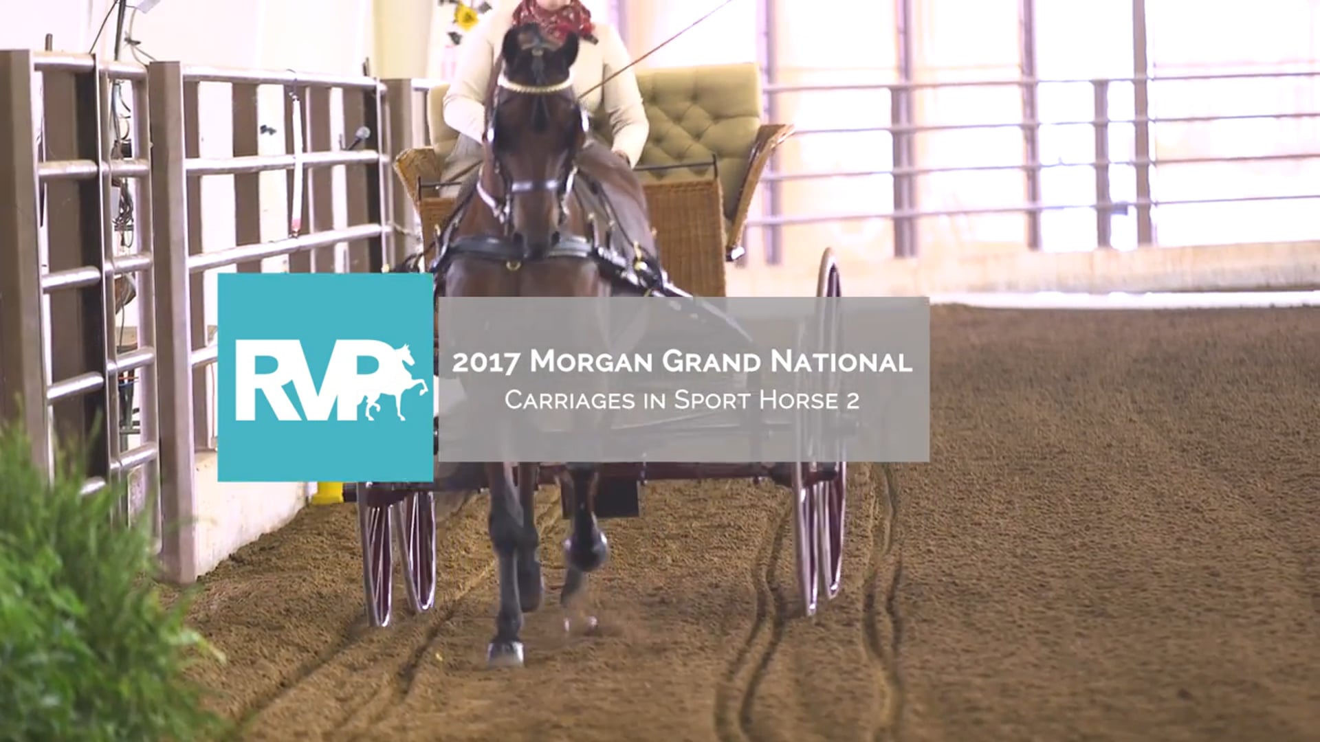 MGN17 - Carriages in Sport Horse 2