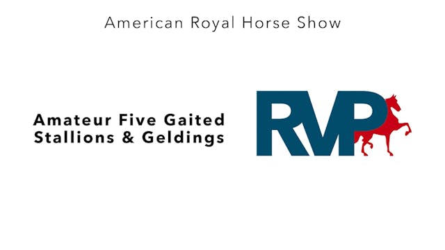 AR24 - Class 66 - Amateur Five Gaited...