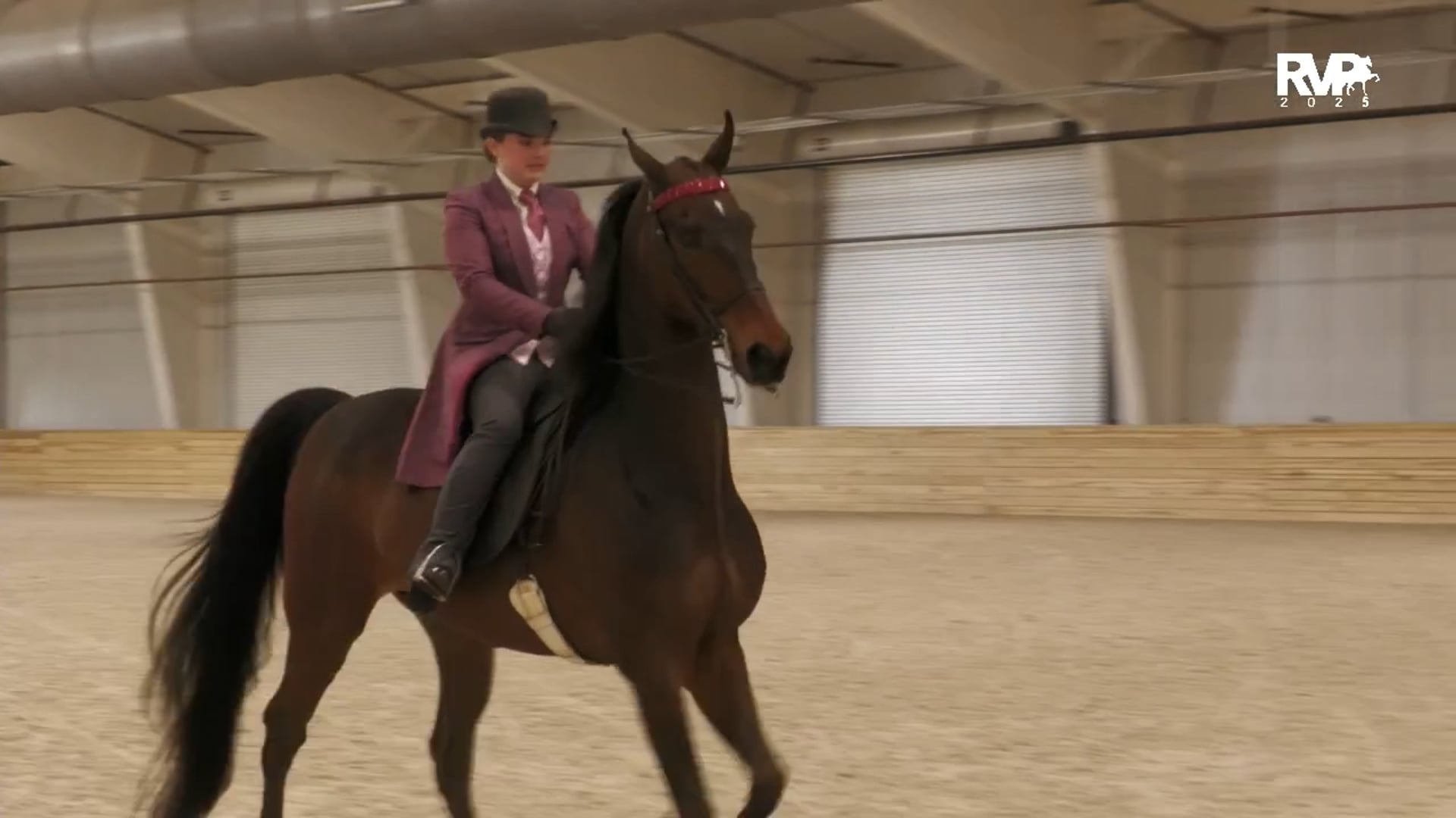 CC25 - Class 131 - English Pleasure Limit Rider Any Age - OTAB