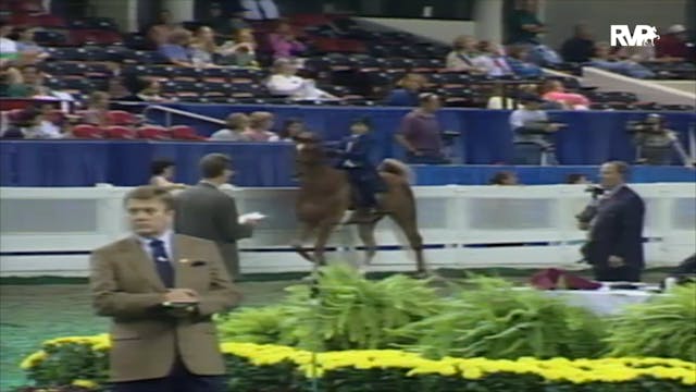 2000 WCHS Class 113 UPHA Walk Trot 9 ...