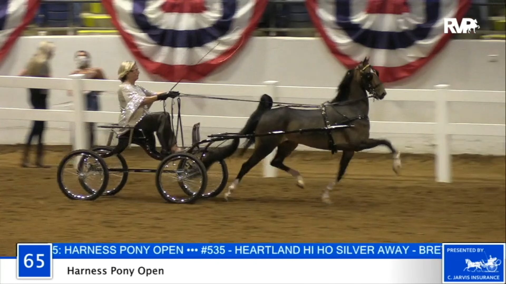 2020 BB - Class 65 ASB Harness Pony Open