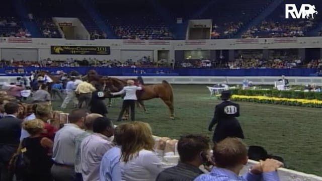 2004 World's Championship Horse Show ...