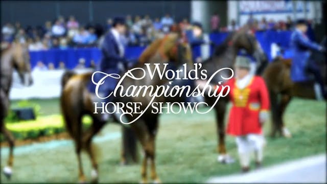 Southern Saddlebred Spring Fling 2018...