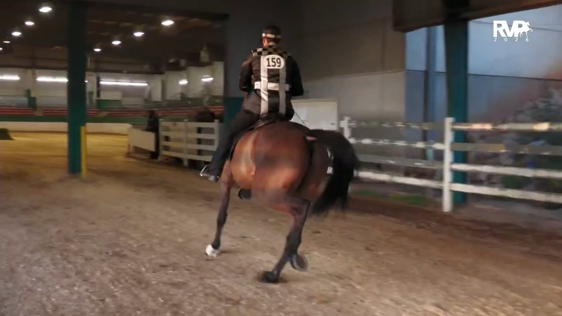 RSP26 - Class 28 - Roadster Horse Under Saddle