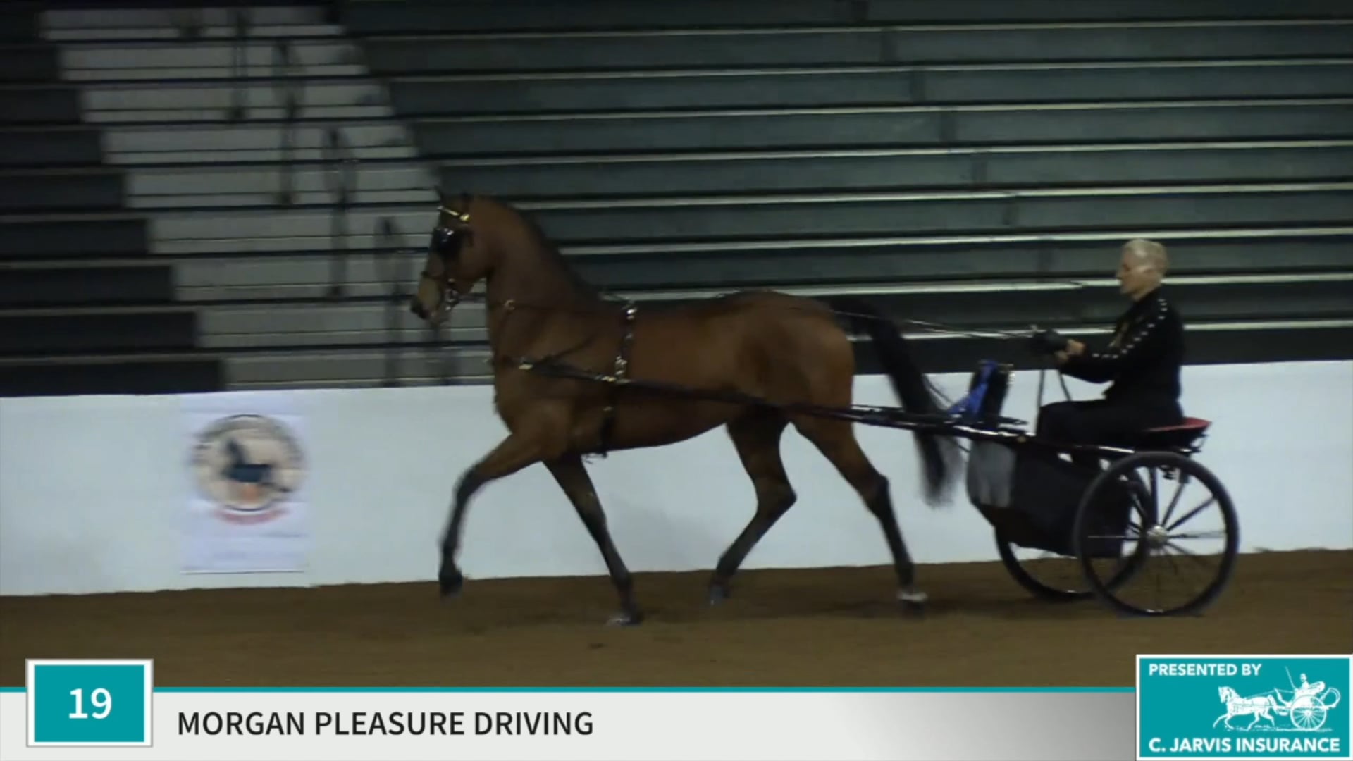 Class 19 - Be My Moondancer