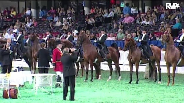 2010 World's Championship Horse Show ...