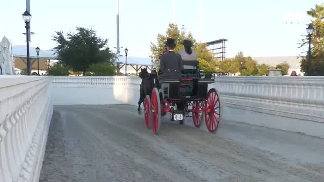 OI25 - Class 200 - Carriage Pleasure ...