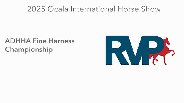 OI25 - Class 111 - ADHHA Fine Harness...