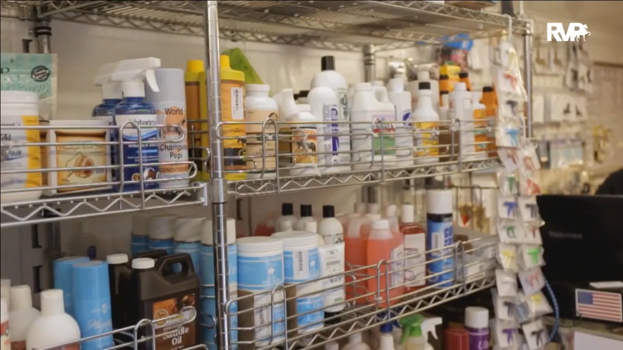 ALCB16 - Saturday Afternoon