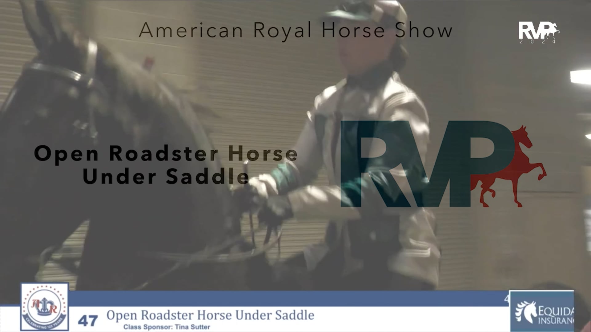 AR24 - Class 47 - Open Roadster Horse Under Saddle