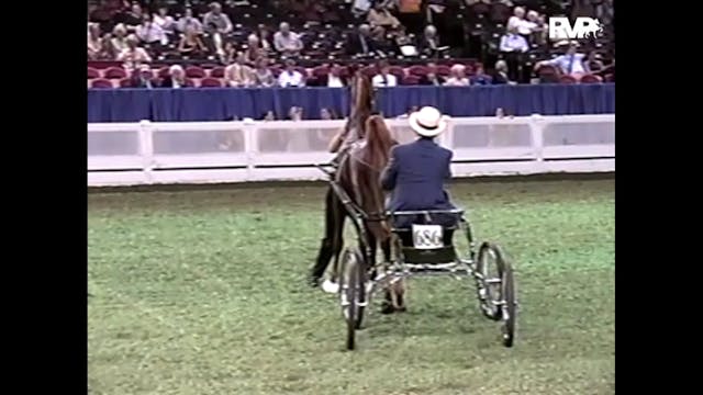 2001 WCHS - Sir William Robert and St...