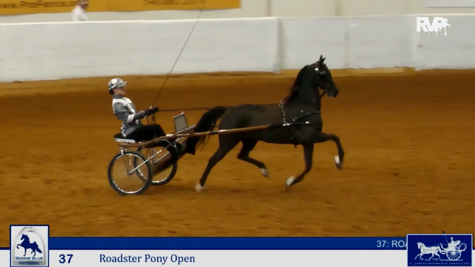 BB25 - Class 37 Roadster Pony Open