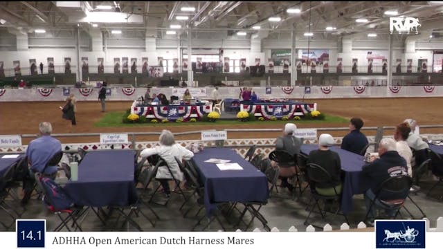AAC23 - Class 14.1 - ADHHA Open Ameri...