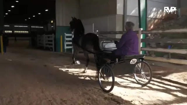 RSP26 - Class 11 - Morgan Classic Ple...