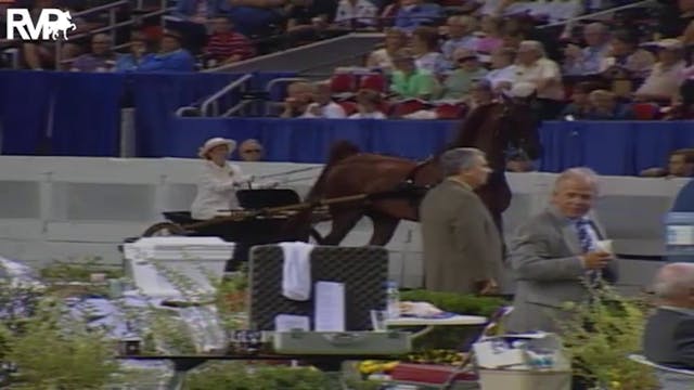 2004 World's Championship Horse Show ...