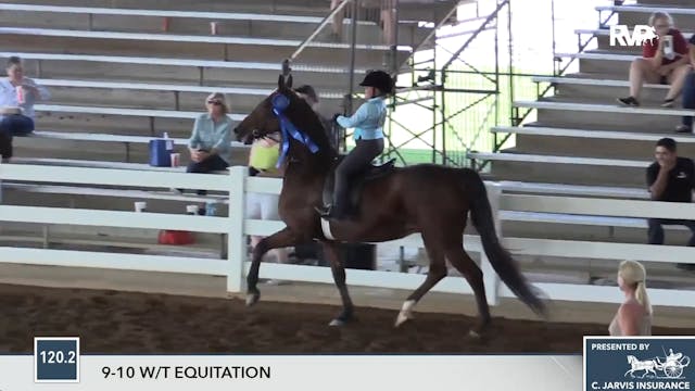 Sec18 Class 21 Citation Southeastern Charity Horse Show Richfield Video Archive