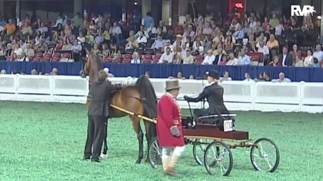 2010 World's Championship Horse Show ...