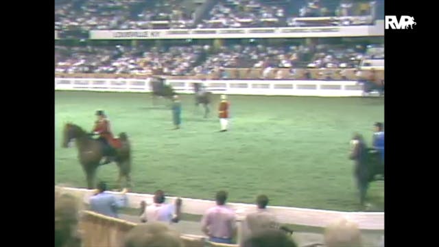 1988 WCHS Class 140 Amateur Five Gait...