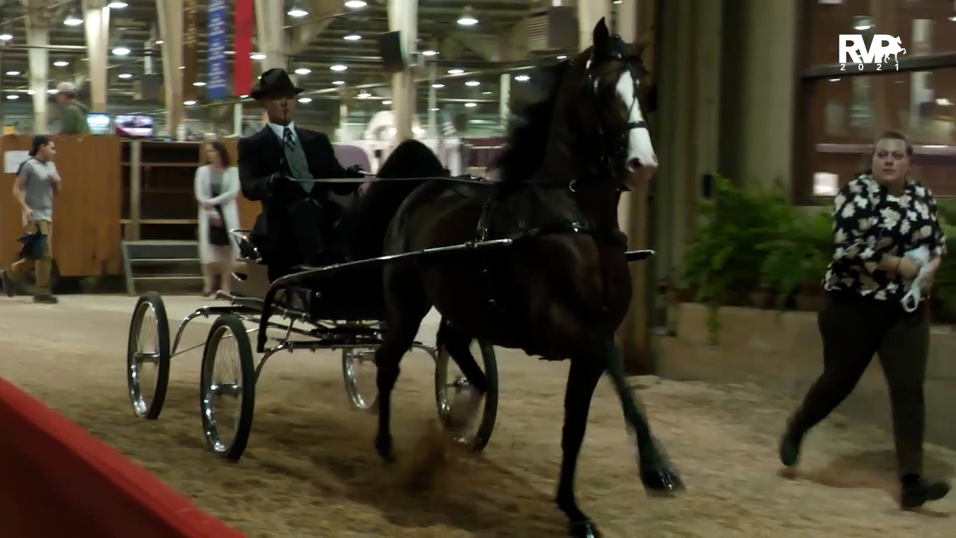 MGN21 - Class 124 - WC Futurity Park Harness Two-Year-Old