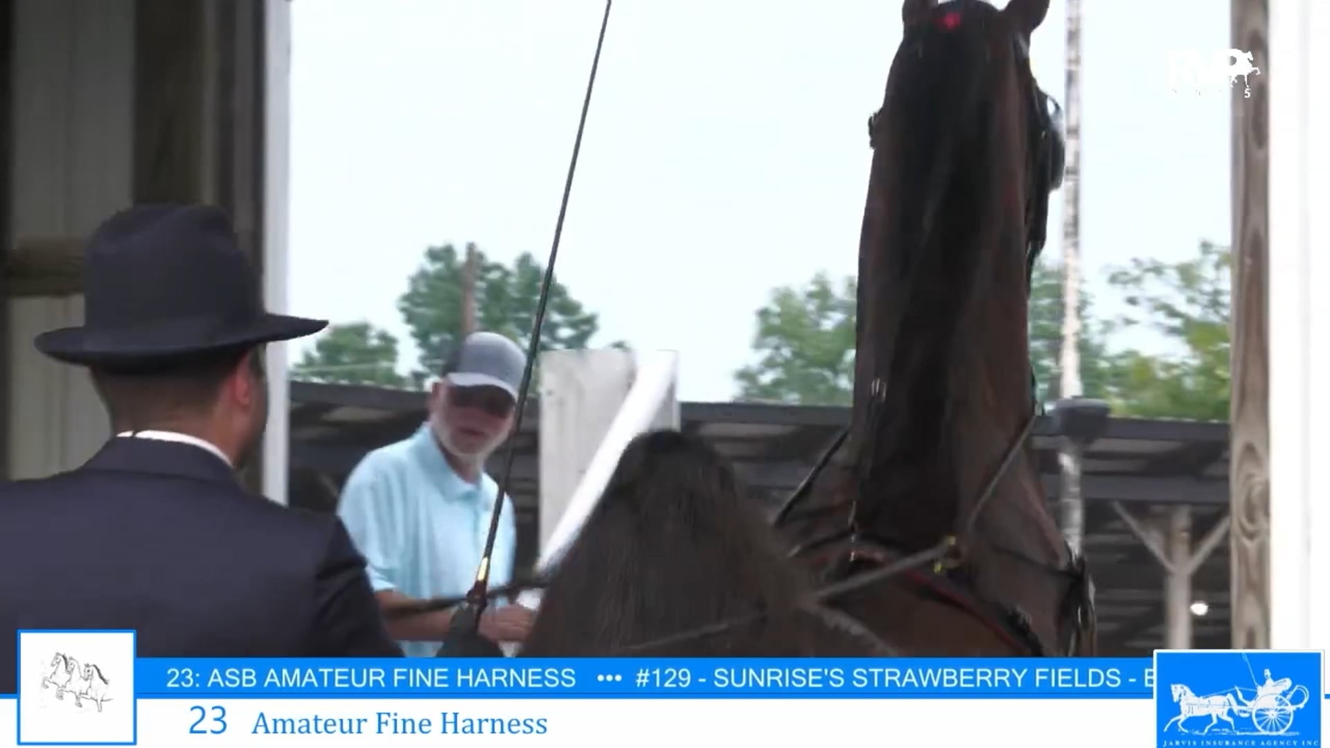 SSC25 - Class 23 - Amateur Fine Harness