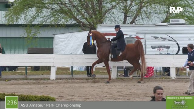 SB21 - Class 236 - ASB Amateur Park C...