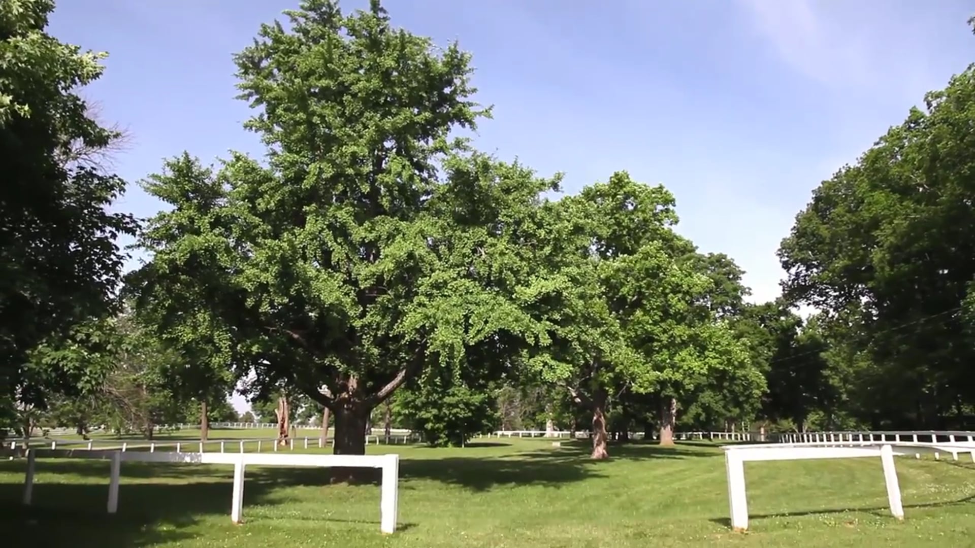 Undulata Farm Visit Spring 2015