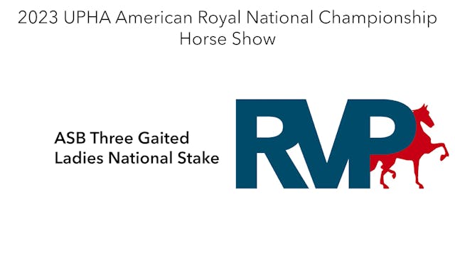 AR23 - Class 181 - ASB Three Gaited L...