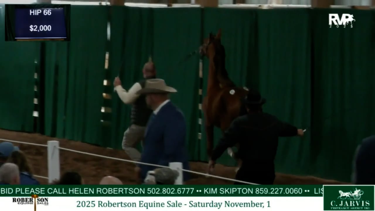 2025 Robertson Equine Sale