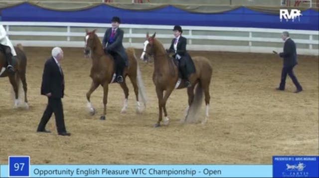2021 Asheville Saddlebred Classic - S...