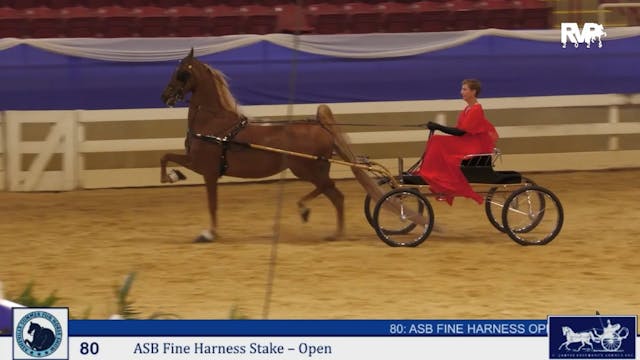 ASF25 - Class 80 - ASB Fine Harness S...