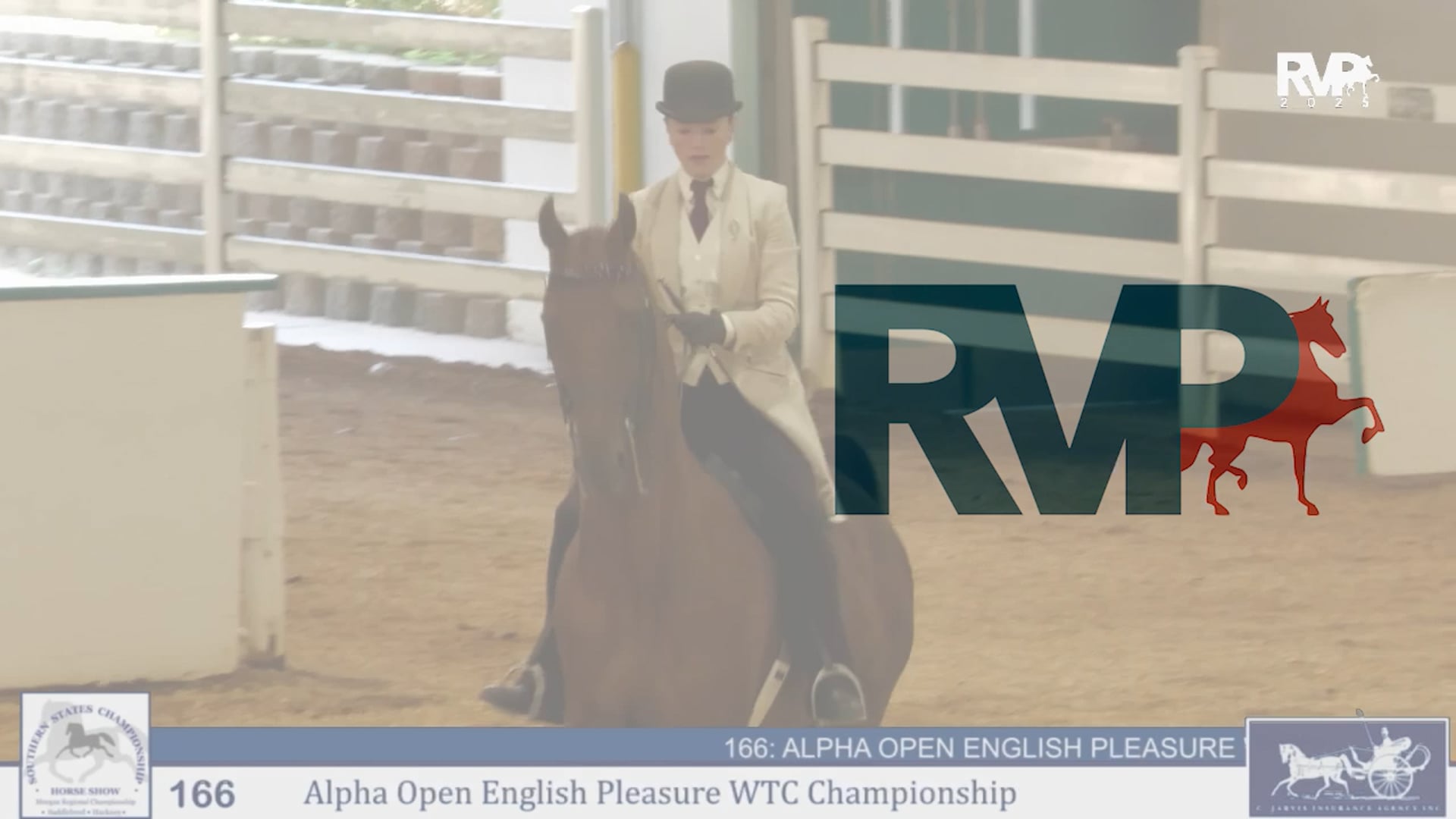 SS25 - Class 166 - Alpha Open English Pleasure WTC Championship