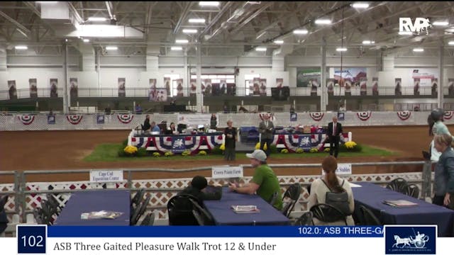 AAC23 - Class 102 - ASB Three Gaited ...