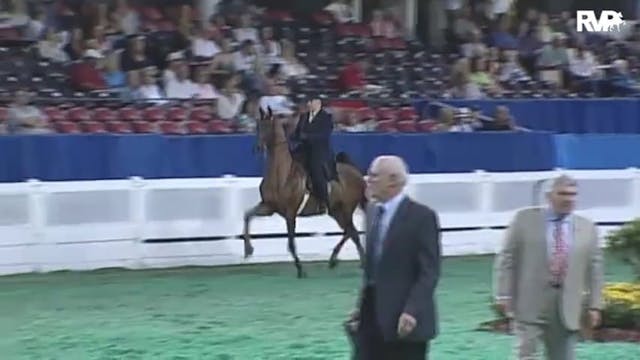 2010 World's Championship Horse Show ...