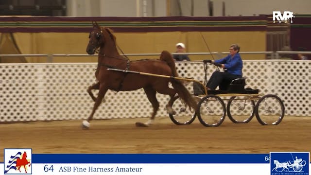 AAC25 - Class 64 - ASB Fine Harness A...