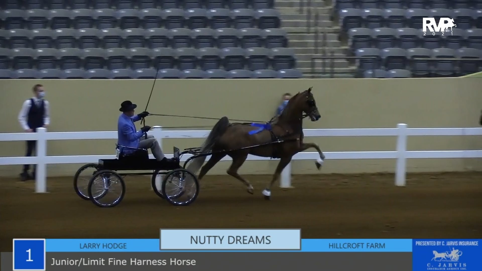 KYSP21 - Class 1 - Fine Harness Junior or Limit Horse