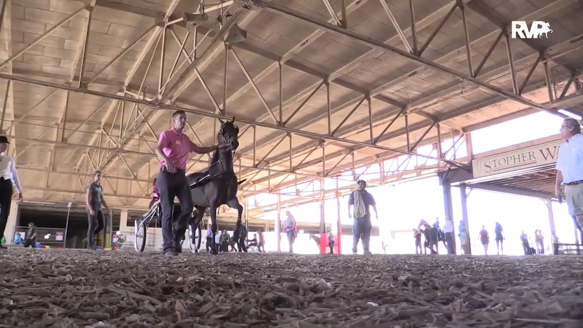 WCHS15 - Class 62 - Amateur Roadster Pony 50 to 52 Inches