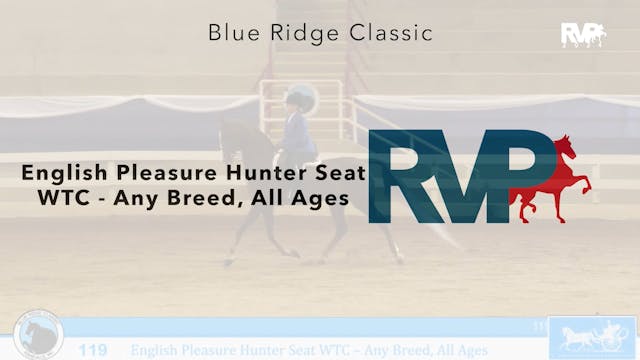 BR24 - Class 119 - English Pleasure H...