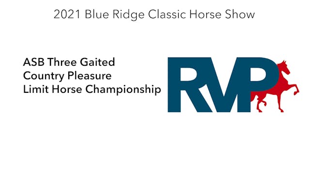 BR21 - Class 94.1 - ASB Three Gaited ...