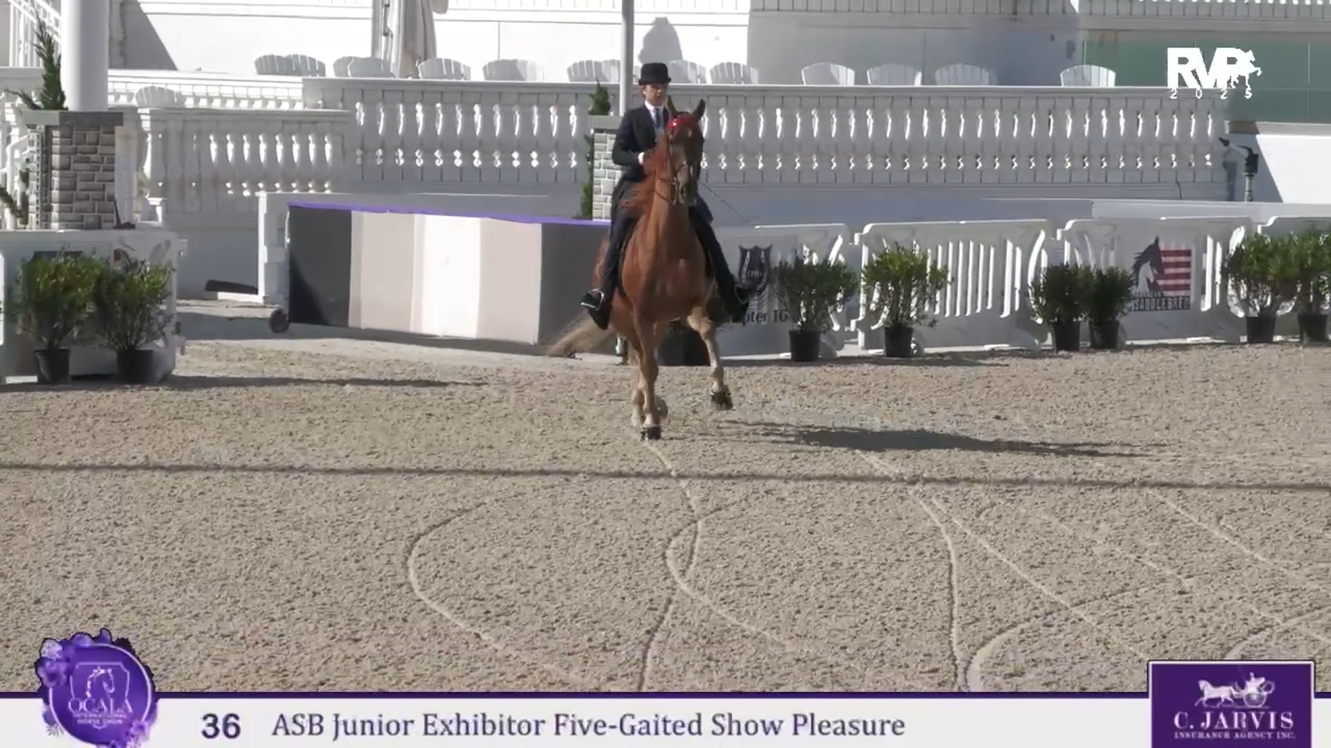 OI25 - Class 36 - ASB Junior Exhibitor Five Gaited Show Pleasure