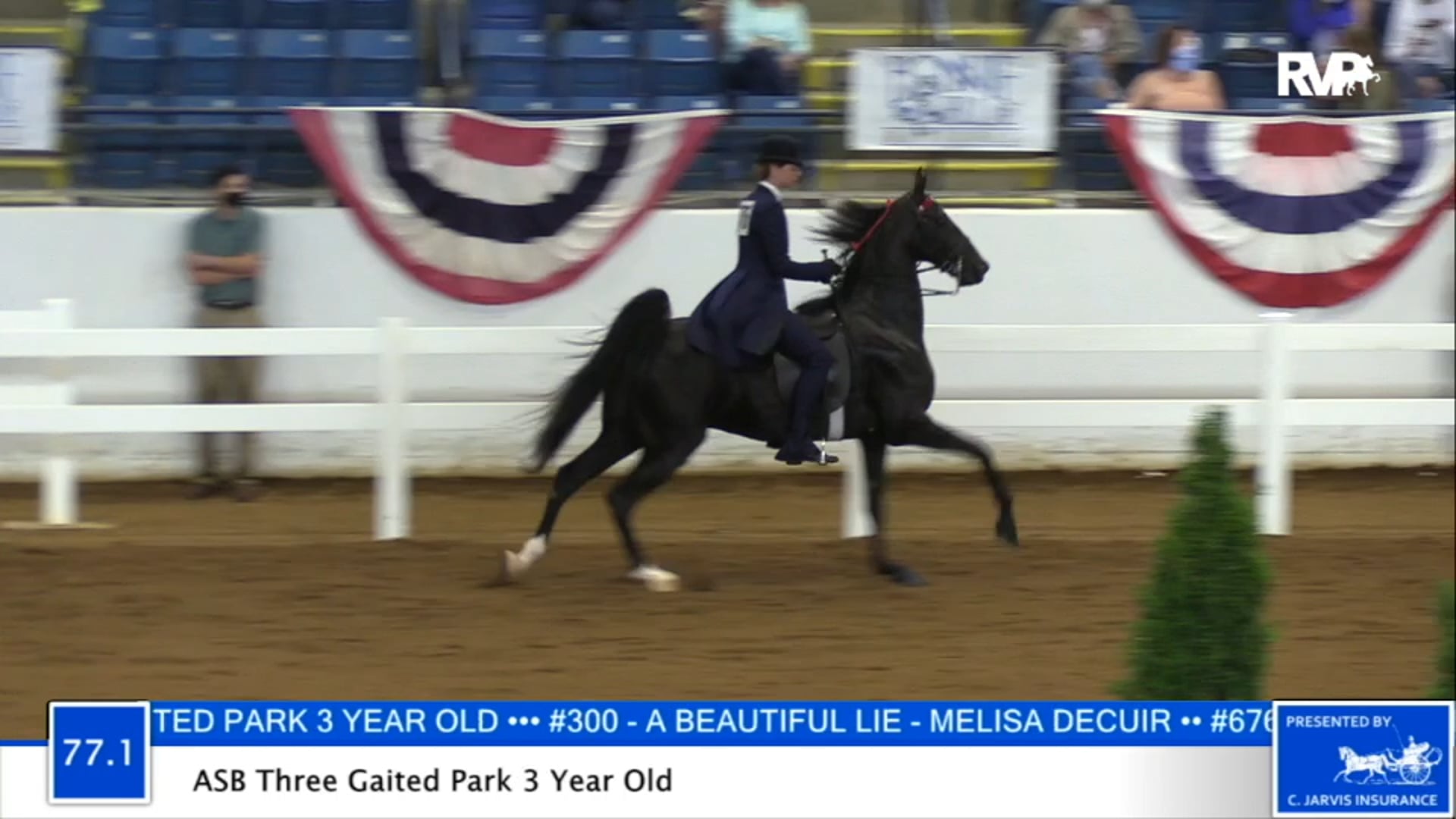 2020 BB - Class 77.1 ASB Three Gaited Park Three Year Old