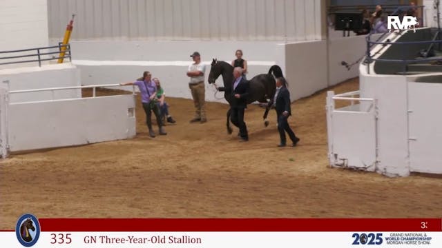 MGN25 - Class 335 - GN Three Year Old...