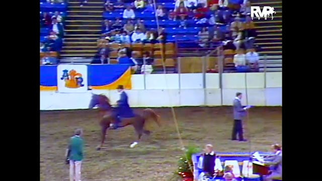 1987 AR - ASB Three Gaited Park Pleas...