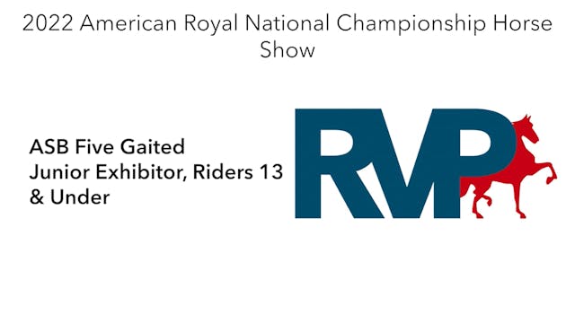 AR22 - Class 103 - ASB Five Gaited Ju...