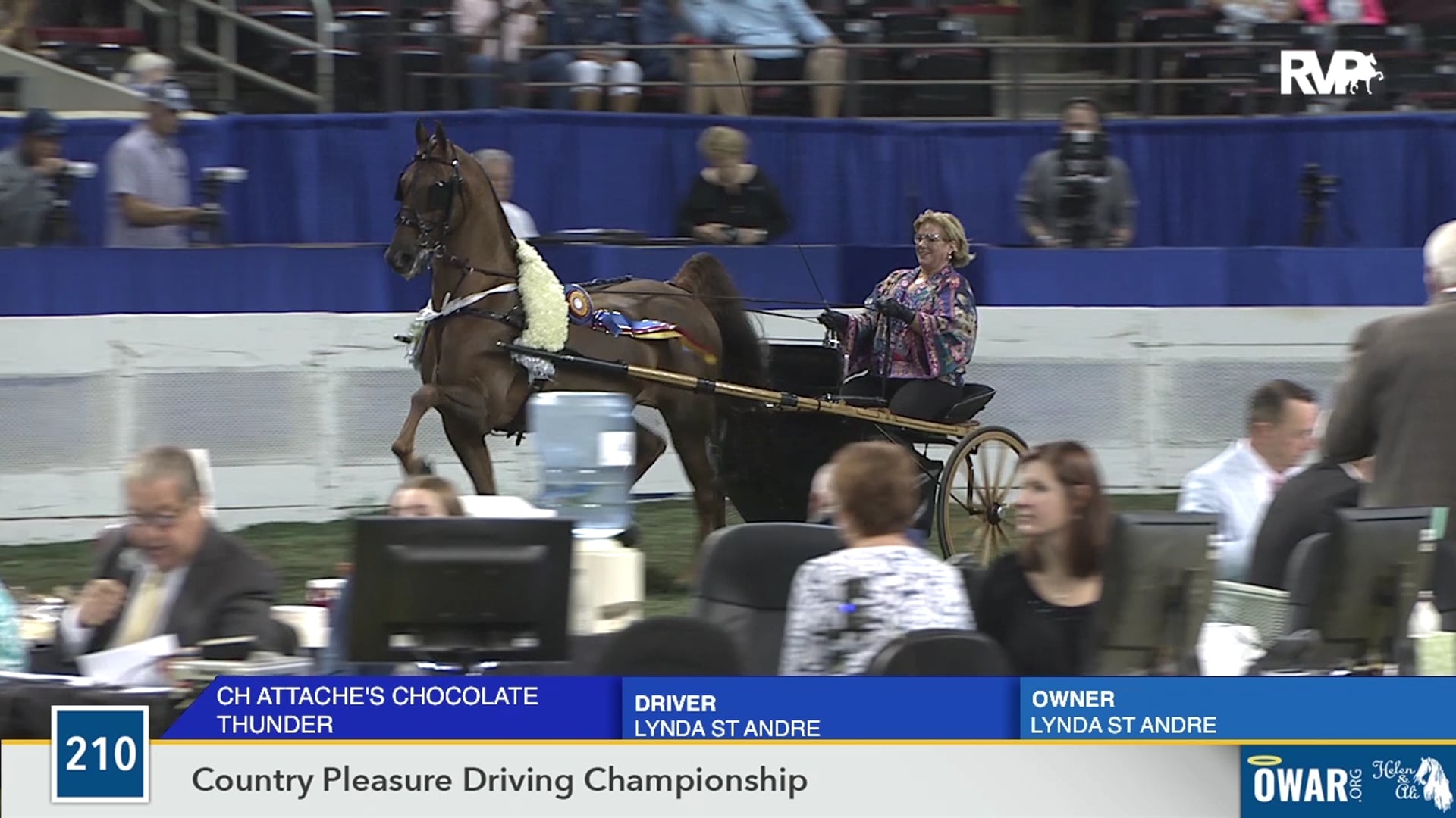 WCHS19 - Class 210 - CH Attache's Chocolate Thunder